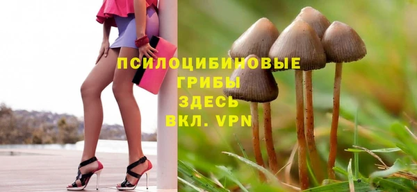 шишки Магадан