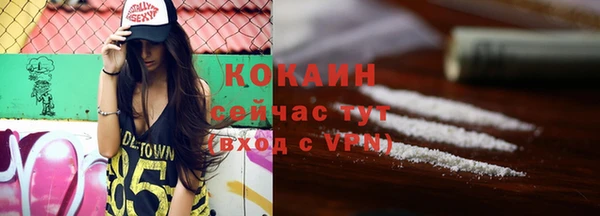 шишки Магадан