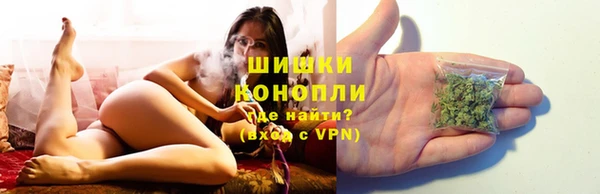 шишки Магадан