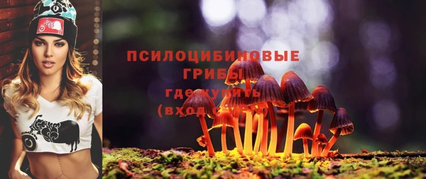 прущий лед Магас