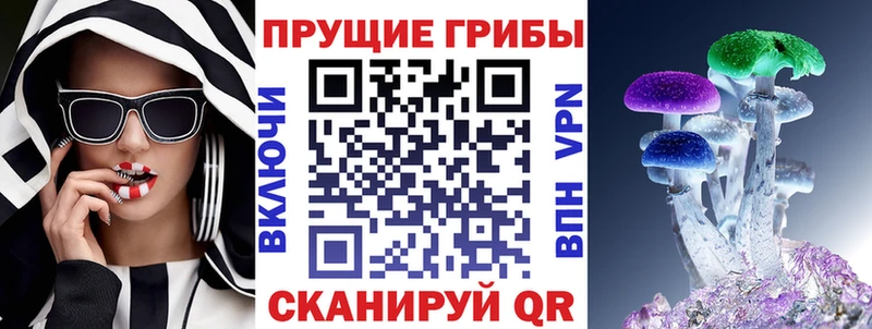 hydra онион  Котельнич  Галлюциногенные грибы Cubensis  купить наркотики сайты 
